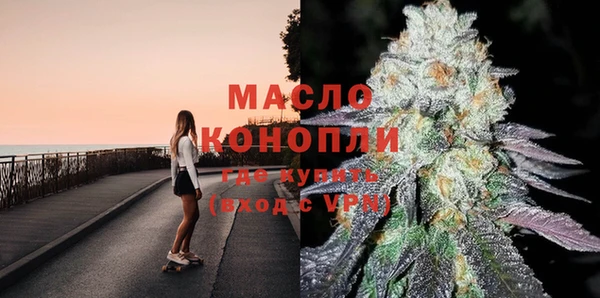 индика Богданович